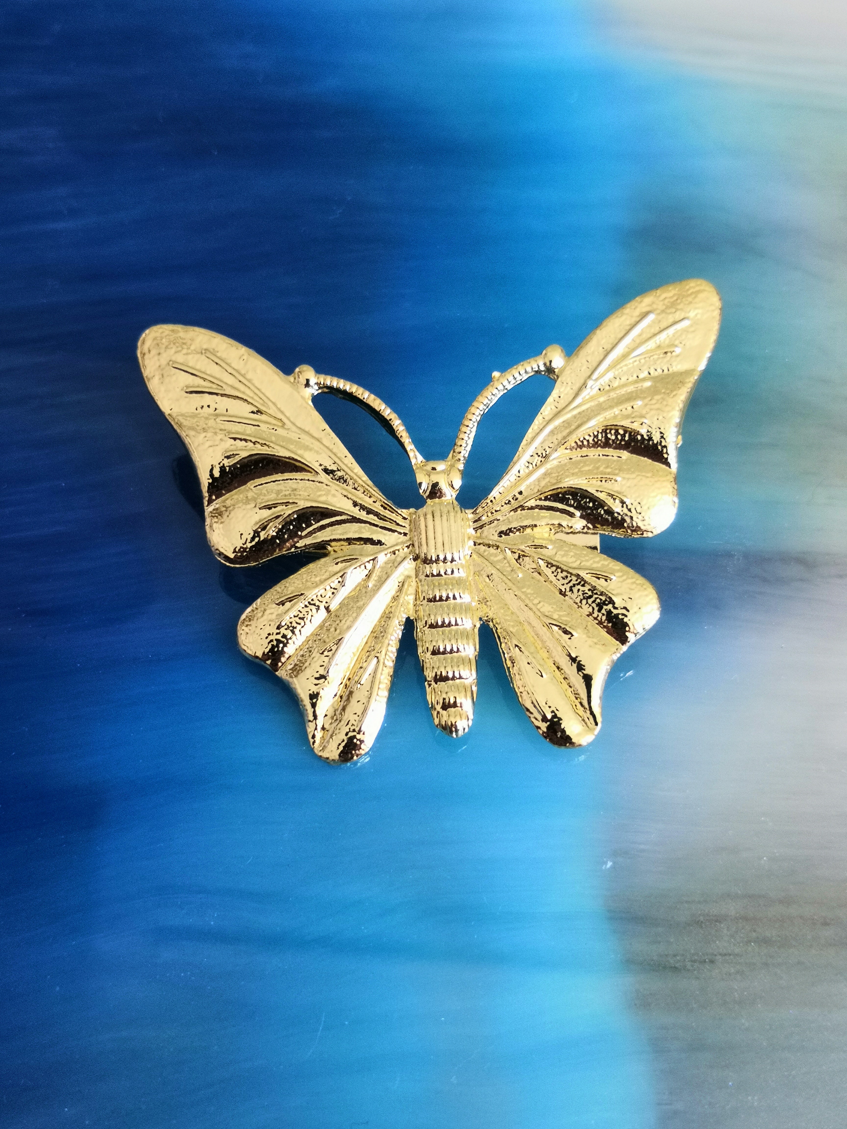 Papillon