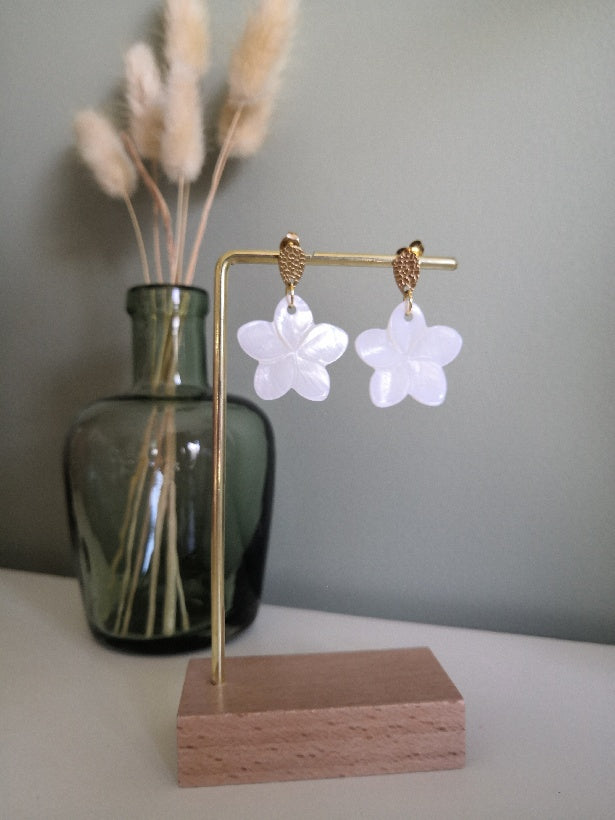 Fleur de frangipanier